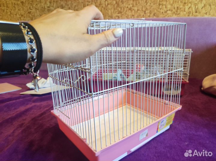 Клетка для хомяка и попугая бу