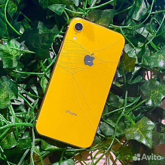 iPhone Xr, 64 ГБ