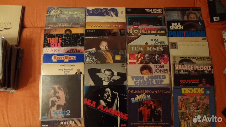 Dylan,Sinatra,Doors и др. на виниле