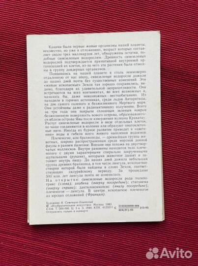 Открытки коллекционные винтаж 1983 СССР