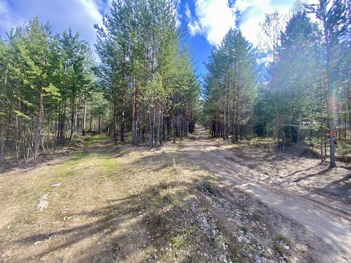 Участок 26,4 сот. (промназначения)