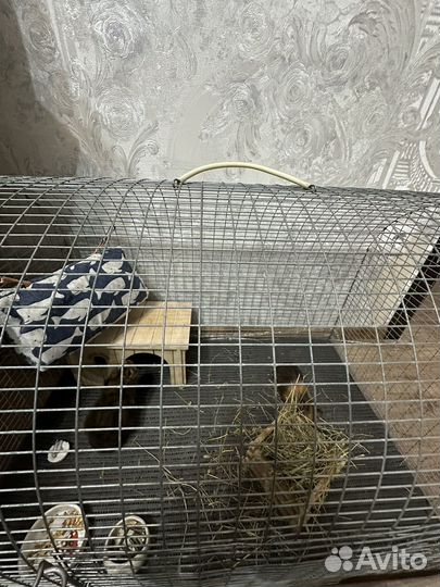Клетка для птиц, крупных и мелких грызунов