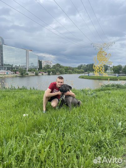 Инструктор - Кинолог. Дрессировка собак