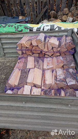 Дрова в сетка берёзовые