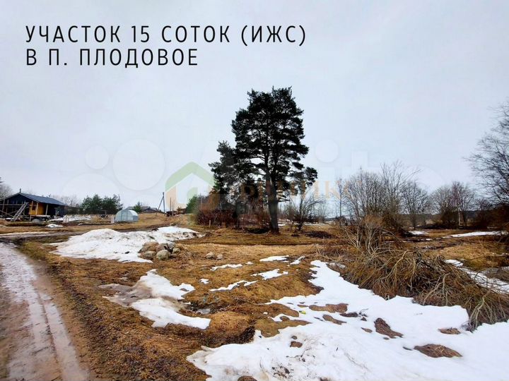 Участок 14,5 сот. (ИЖС)