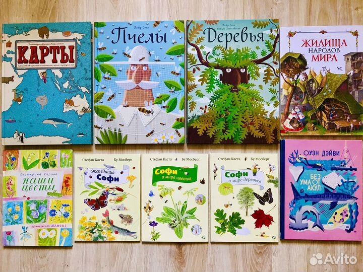 Пчёлы Пётр Соха Деревья, Без ума от акул