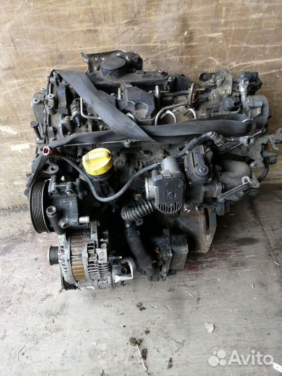 M9R двигатель в разборе vivaro