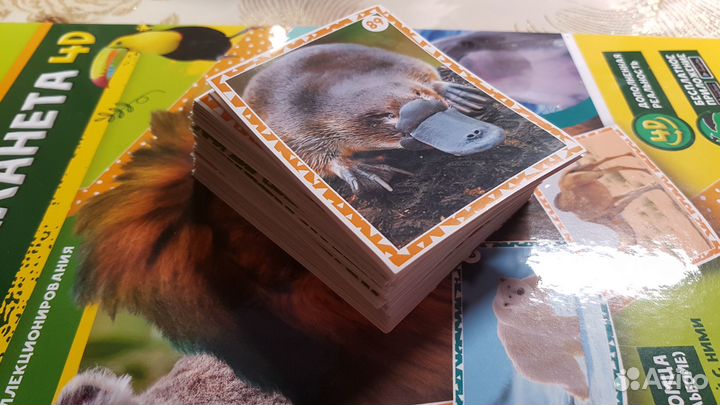 Книга Живая планета 4 D из пуда Наклейки