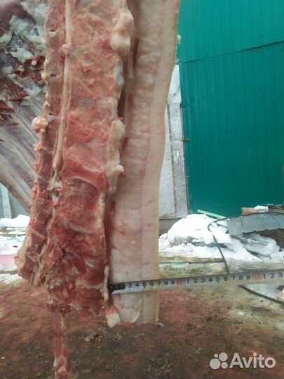 Сало свежее домашнее