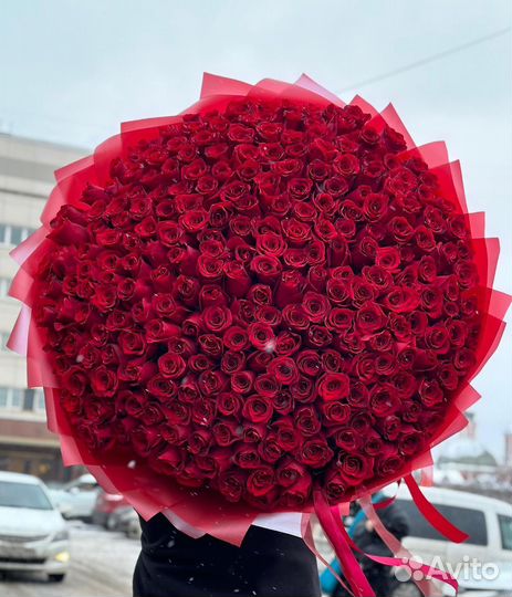 Белые Розы с доставкой / 101роза 70см доставка