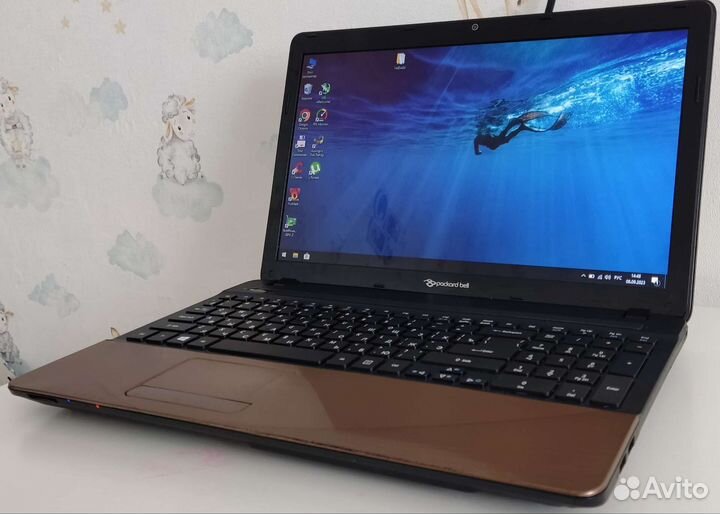 Packard bell 15,6