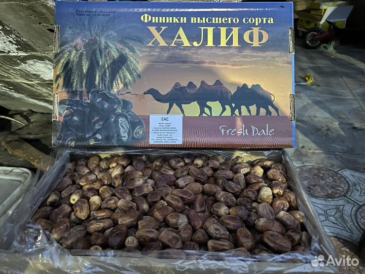 Финики захеди