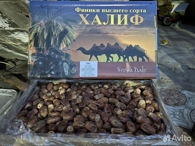 Финики захеди