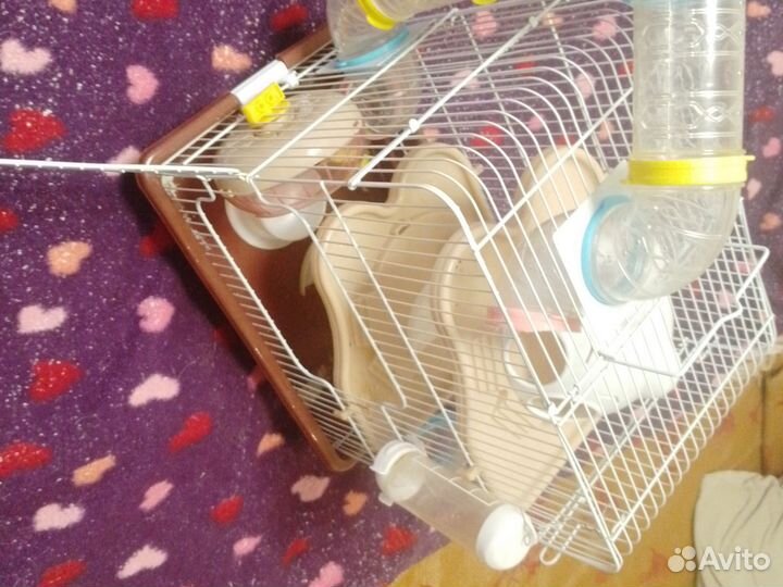 Клетка для грызунов