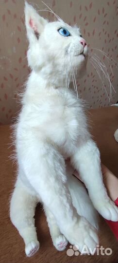 Кошечка ручной работы