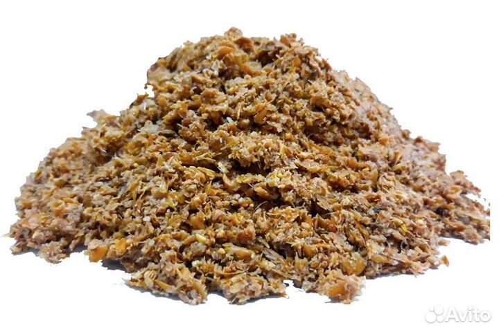 Пивная дробина влажная