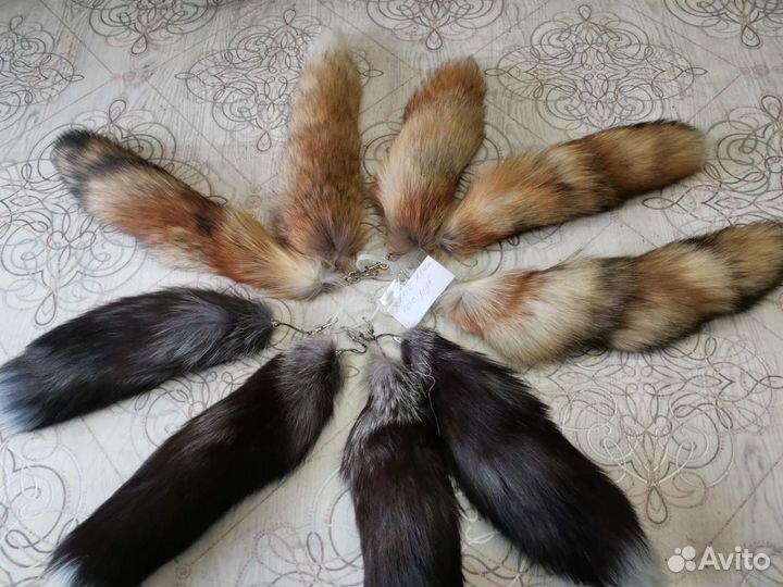 Хвост белки, хвосты, белка лисы чернобурки