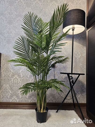 Искусственная пальма Искусственные растения