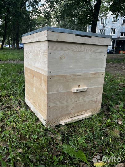 Улей на 12 рамок Дадан, корпус + 1 магазин