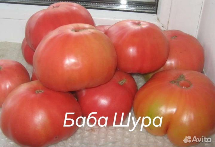 Семена сортовых томатов. не гмо не гибриды