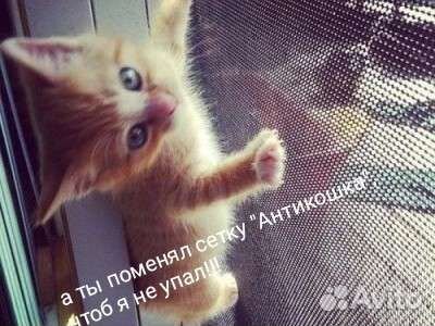 Ремонт москитных сеток