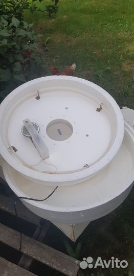 Инкубатор для яиц