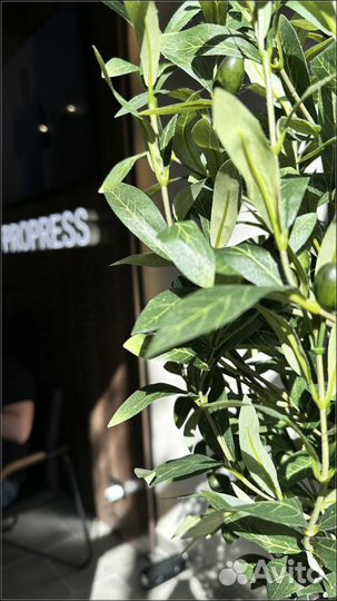 Прочная Тротуарная Плитка