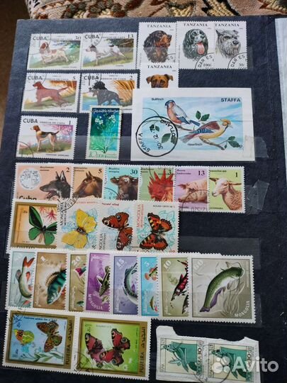 Марки фауна, флора