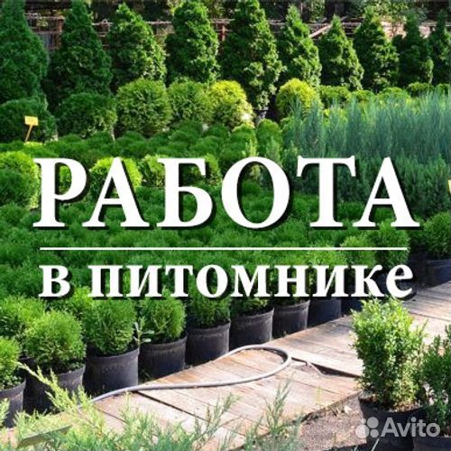 Продавец в питомник растений