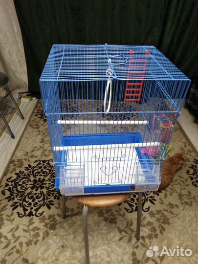 Вместительная клетка для попугайчиков+поилка, лес
