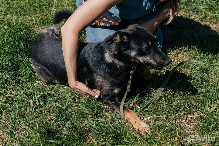 Скромная девочка