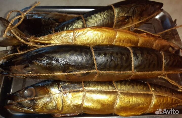 Рыба скумбрия холодного копчения