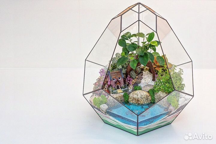 Флорариум с Фикусом