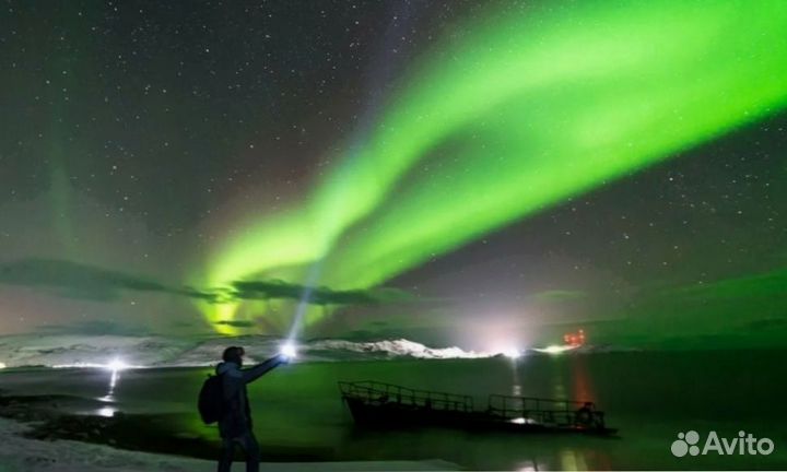 В погоне за Авророй с знающим охотником