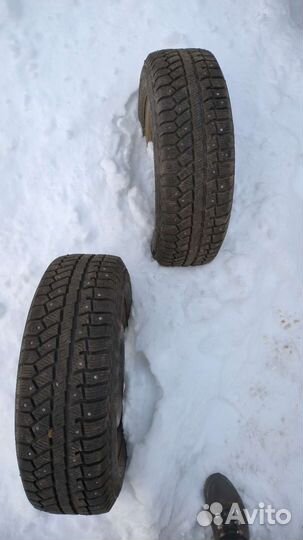 Cordiant Polar 2 195/65 R15