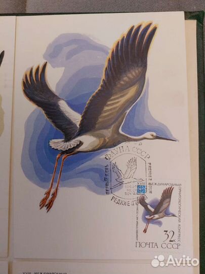 Картмаксимум,фауна СССР