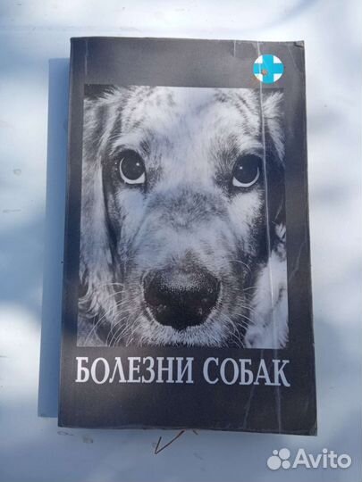 Книга Болезни собак