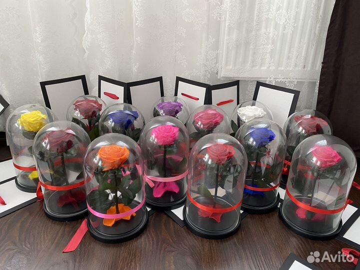 Роза в колбе премиум хит