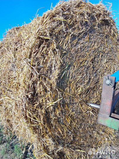 Сено в рулонах 2023