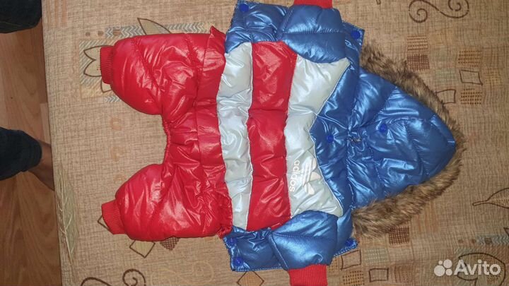 Комбинезон для собачки зима