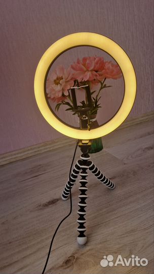 Кольцевая лампа 26 см с аксессуарами