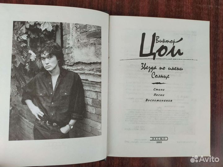 Книга Цой звезда по имени солнце