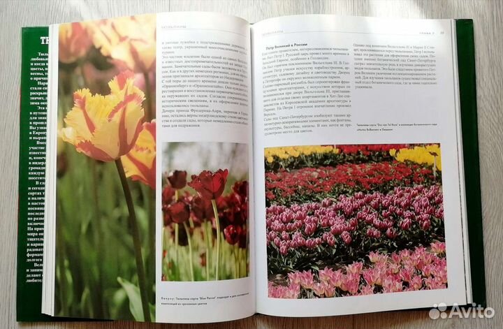 Тюльпаны. Подарочное издание