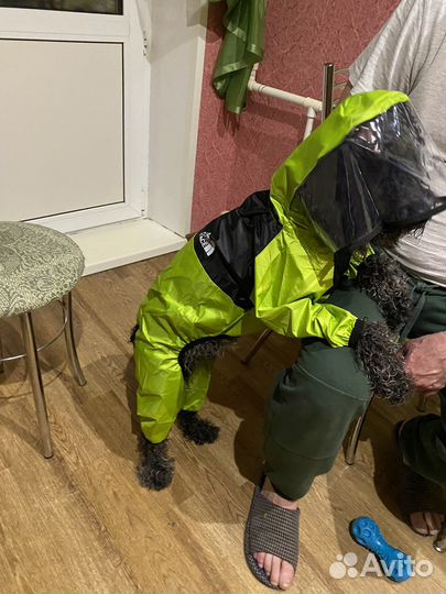 Комбинезон для собаки