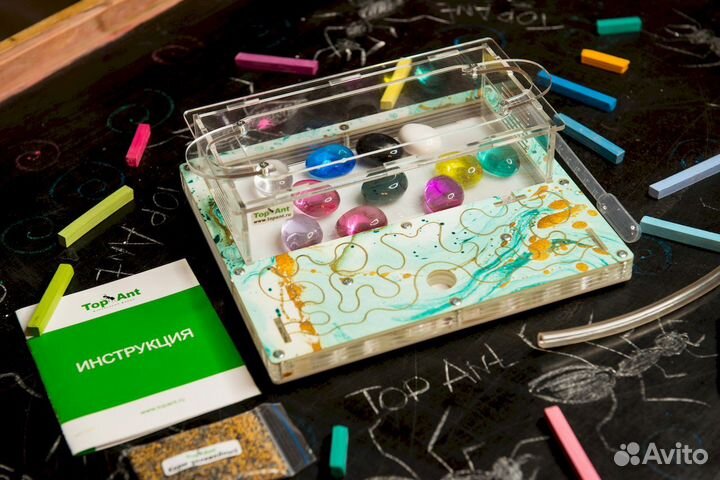 Ферма с муравьями / Формикарий