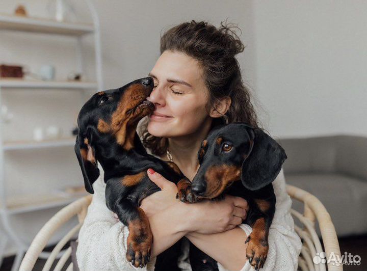 Кинолог. Дрессировка,Коррекция,Воспитание