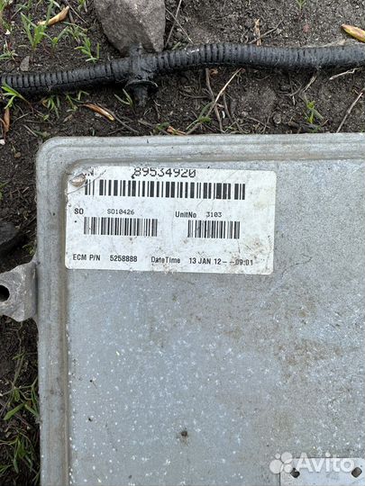 Мозги эбу на газель Cummins с косой