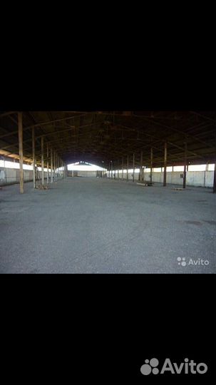 Профессиональное хранение зерновых культур