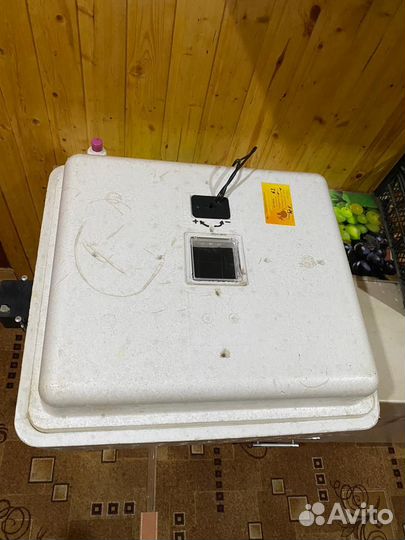 Инкубатор для яиц бытовой. Несушка