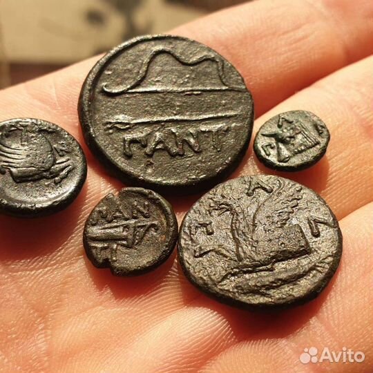 Античная монета Боспорское царство